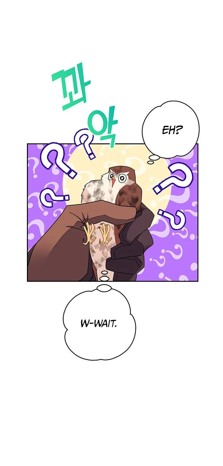 Read Cavier Falcon Princess chapter 7 image 54 on Lezhin