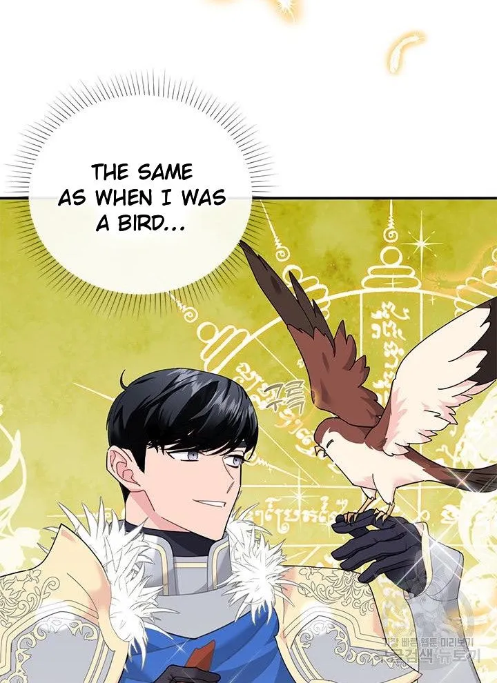 Read Cavier Falcon Princess chapter 70 image 12 on Lezhin