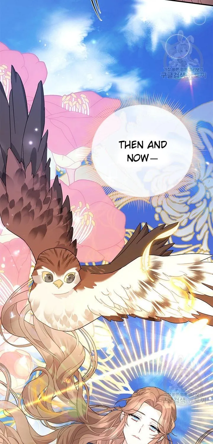 Read Cavier Falcon Princess chapter 70 image 31 on Lezhin