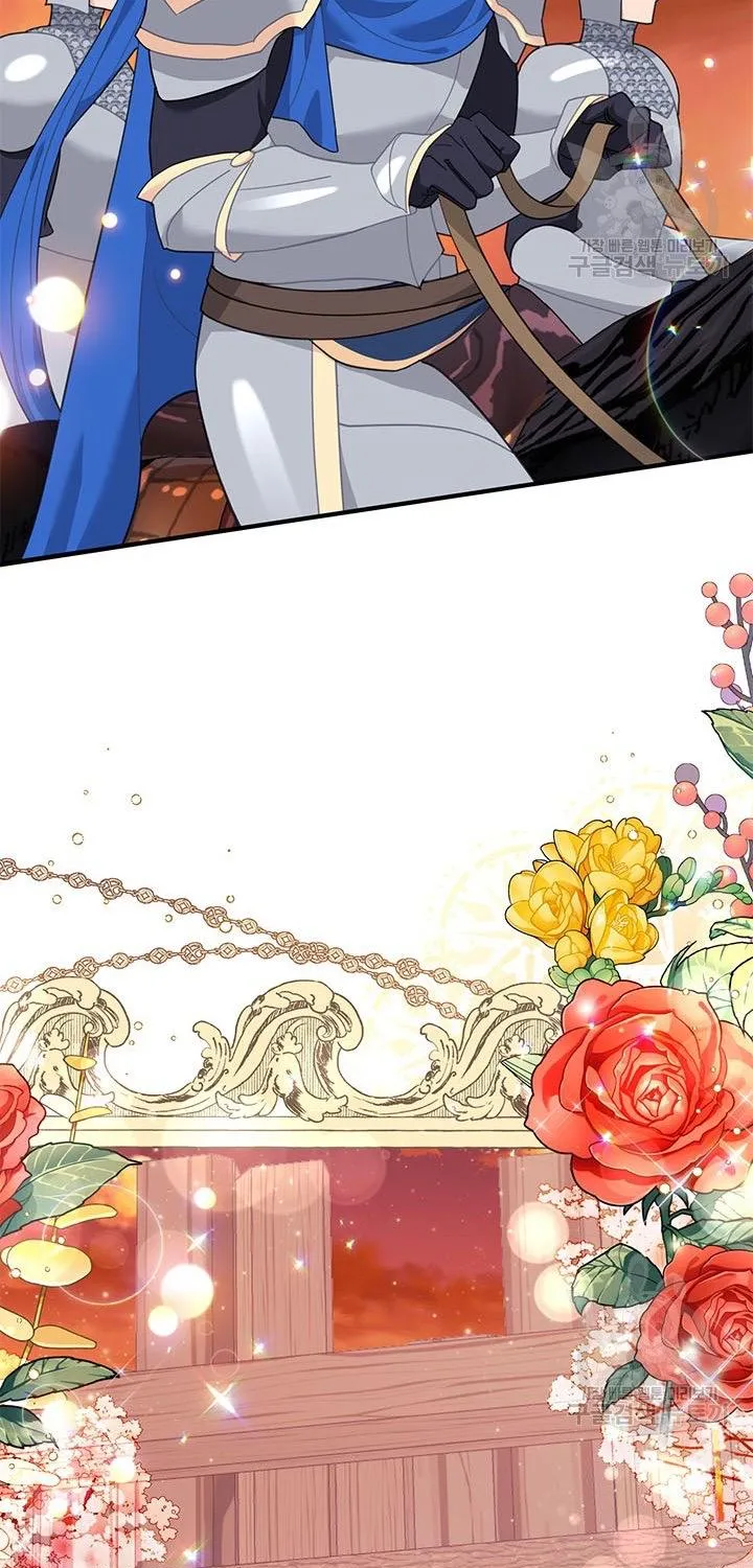 Read Cavier Falcon Princess chapter 70 image 71 on Lezhin