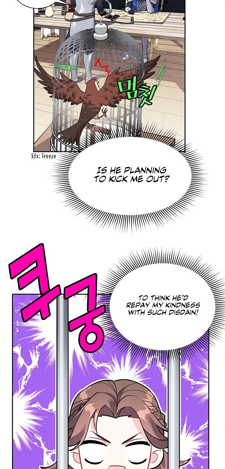 Read Cavier Falcon Princess chapter 8 image 2 on Lezhin