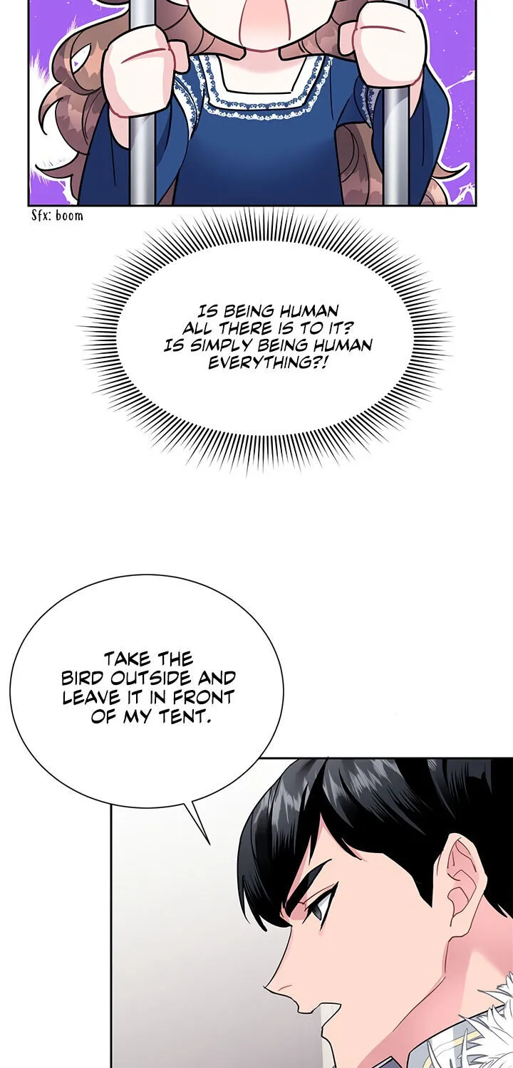 Read Cavier Falcon Princess chapter 8 image 3 on Lezhin