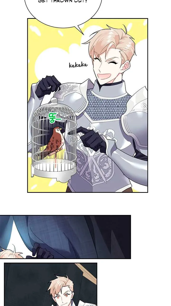 Read Cavier Falcon Princess chapter 8 image 35 on Lezhin