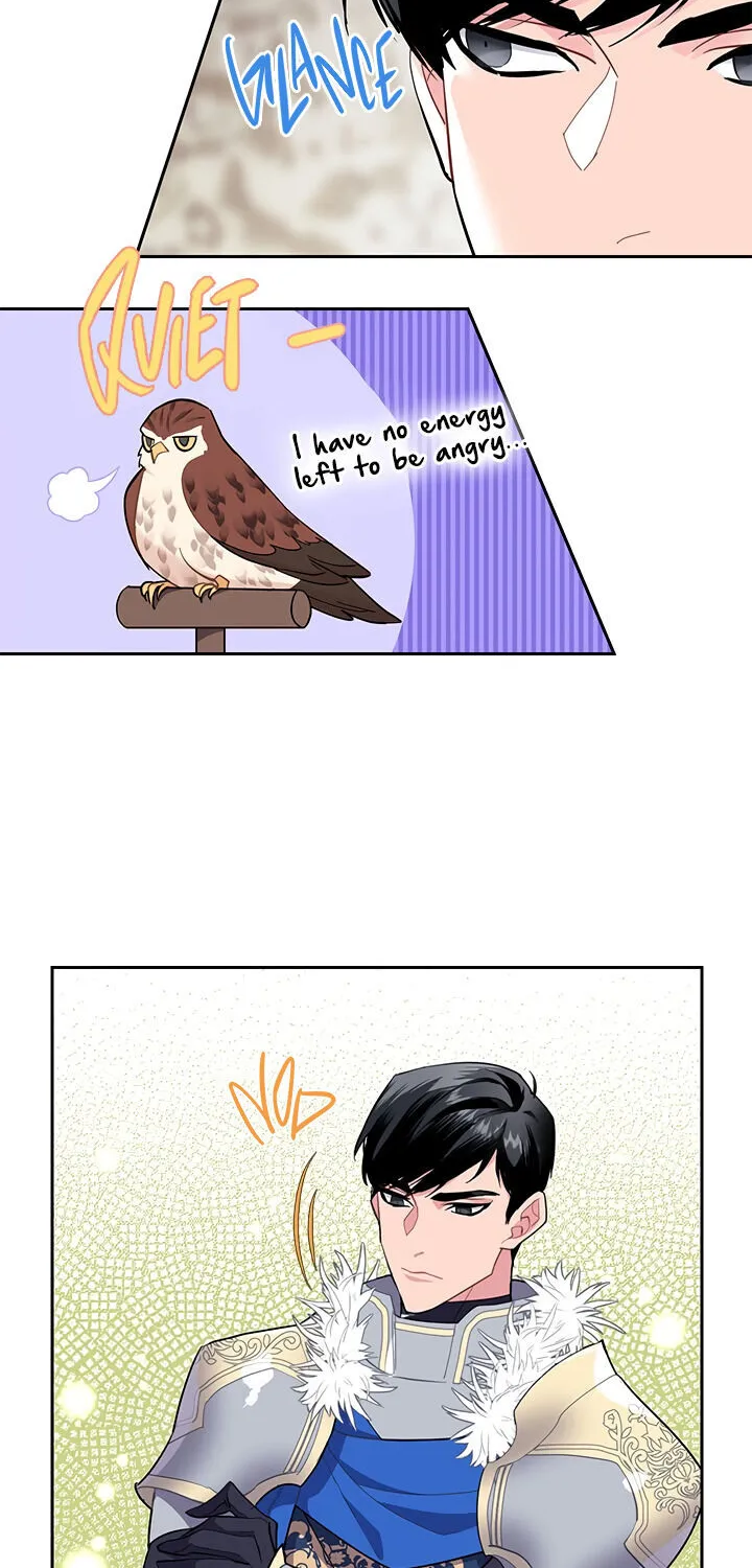 Read Cavier Falcon Princess chapter 8 image 37 on Lezhin