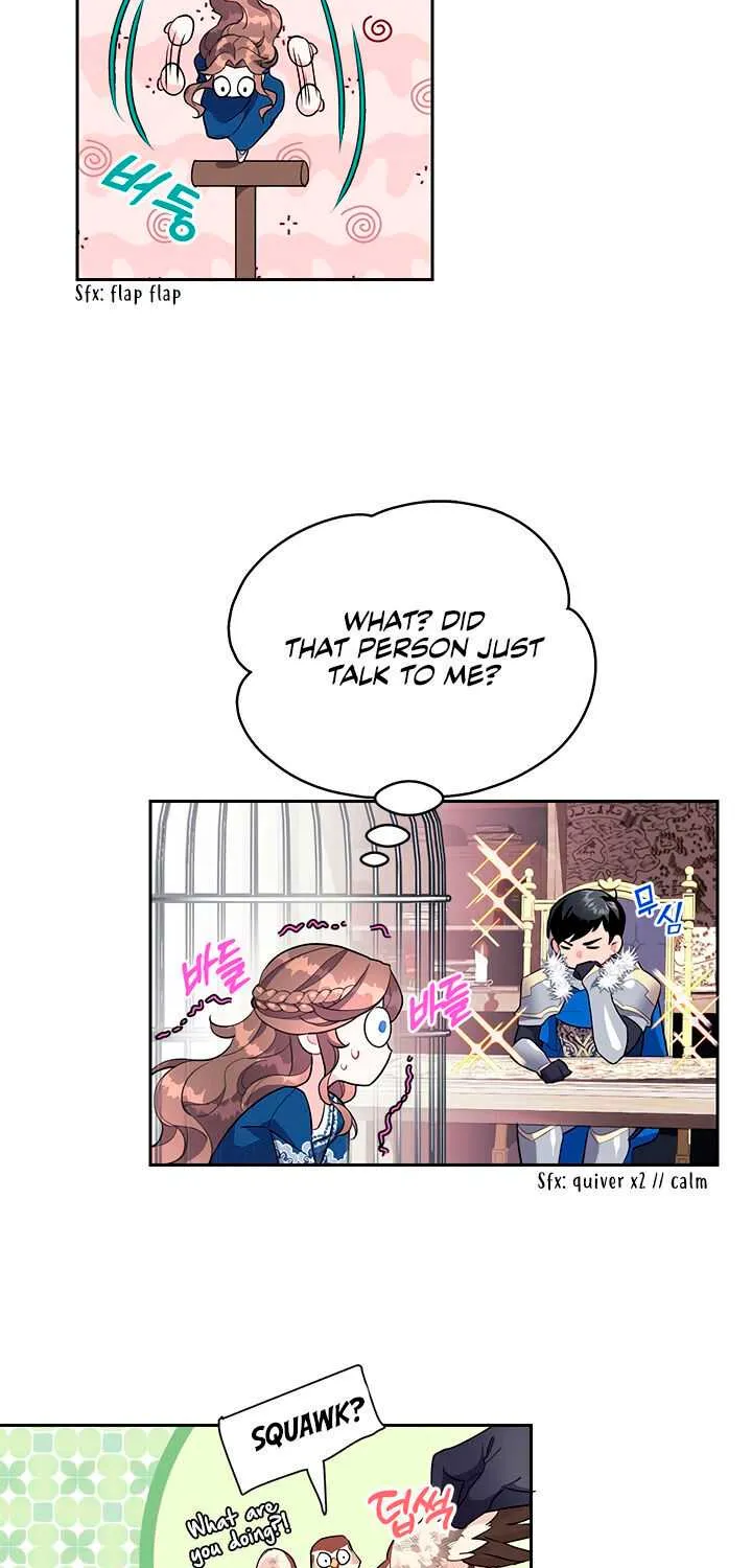 Read Cavier Falcon Princess chapter 8 image 40 on Lezhin