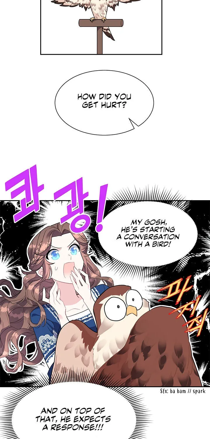 Read Cavier Falcon Princess chapter 8 image 42 on Lezhin