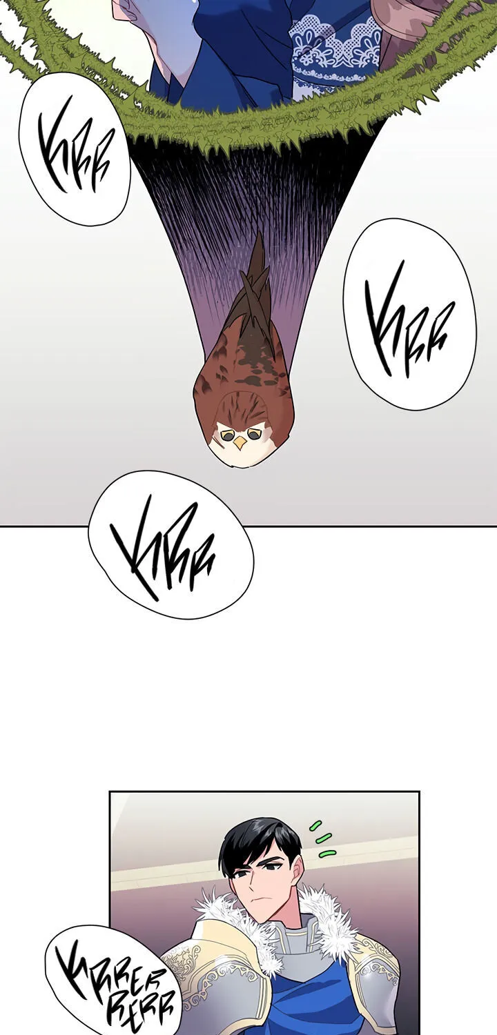 Read Cavier Falcon Princess chapter 8 image 56 on Lezhin