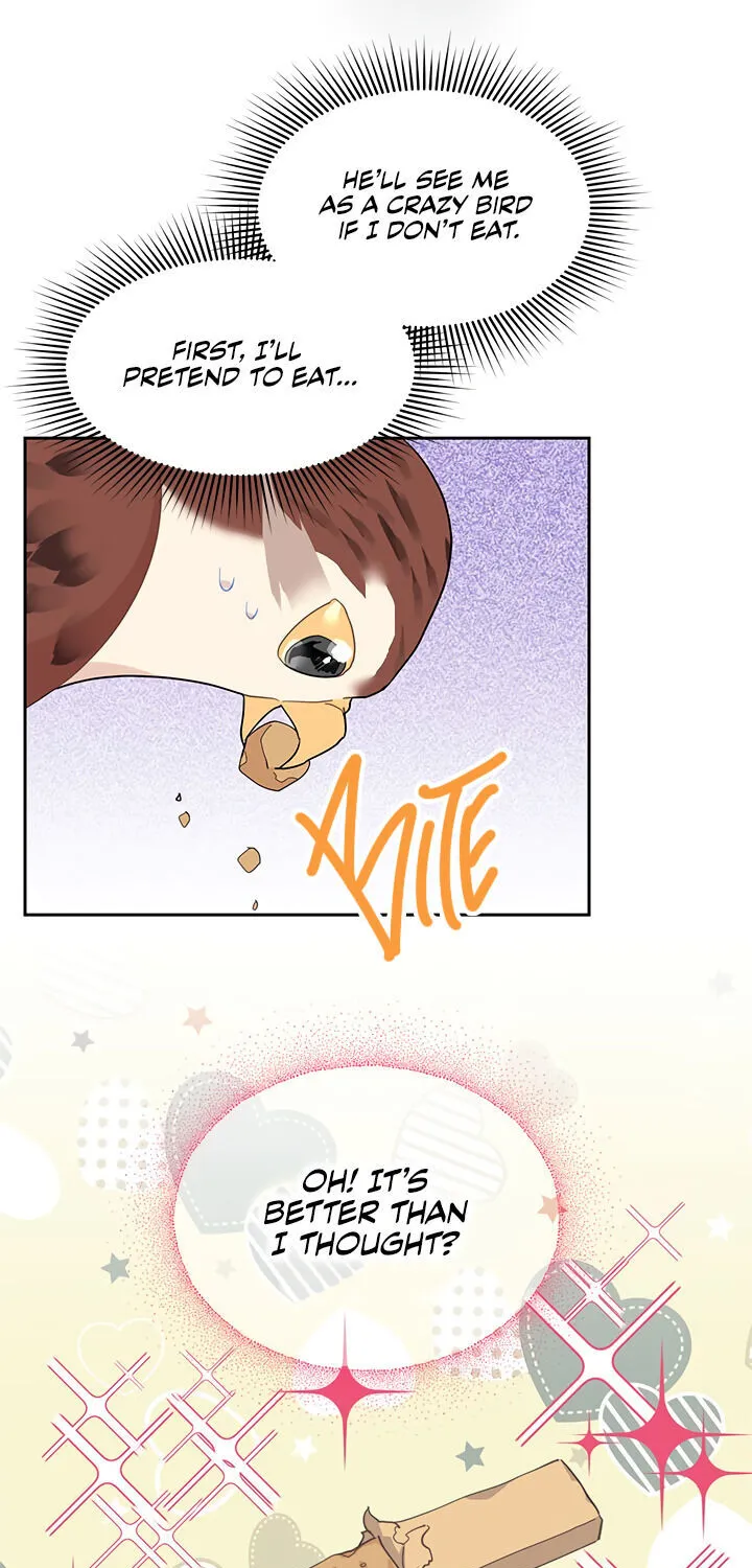 Read Cavier Falcon Princess chapter 9 image 19 on Lezhin