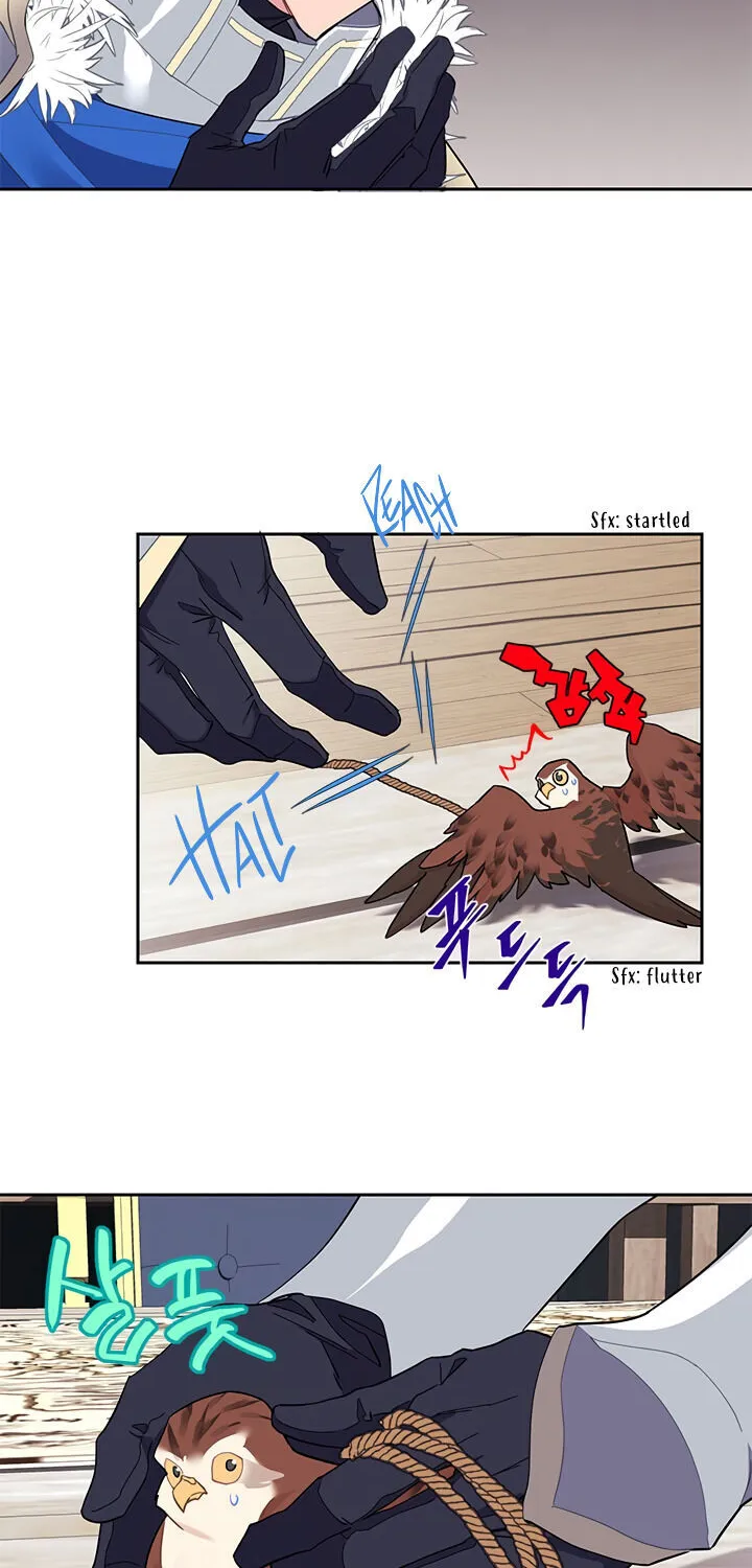 Read Cavier Falcon Princess chapter 9 image 43 on Lezhin