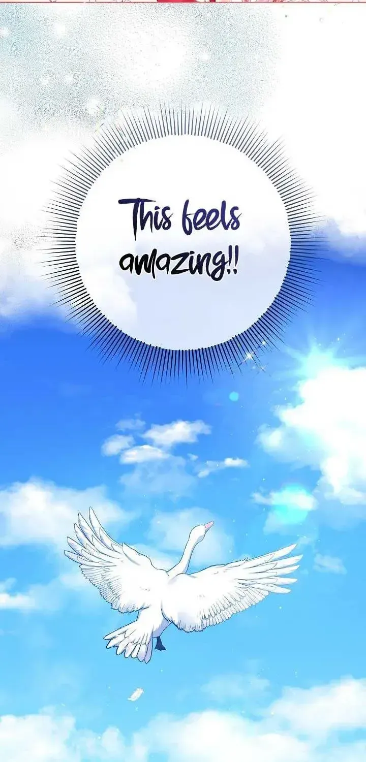 Read Celeb Lady chapter 1.1 image 83 on Lezhin