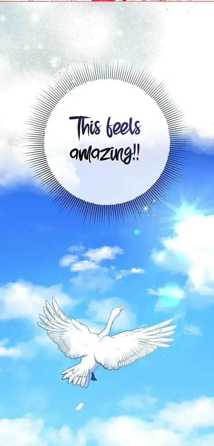 Read Celeb Lady chapter 1.2 image 83 on Lezhin