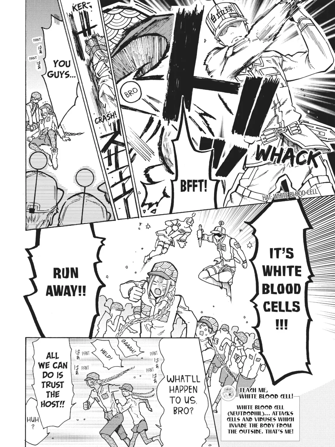 Read Cells at Work: Bacteria! chapter 19 image 14 on Lezhin
