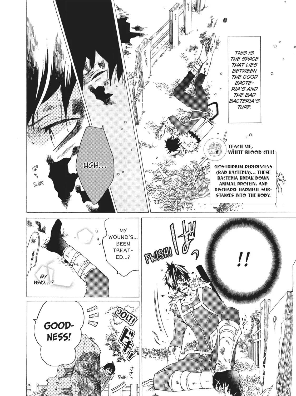 Read Cells at Work: Bacteria! chapter 3 image 2 on Lezhin