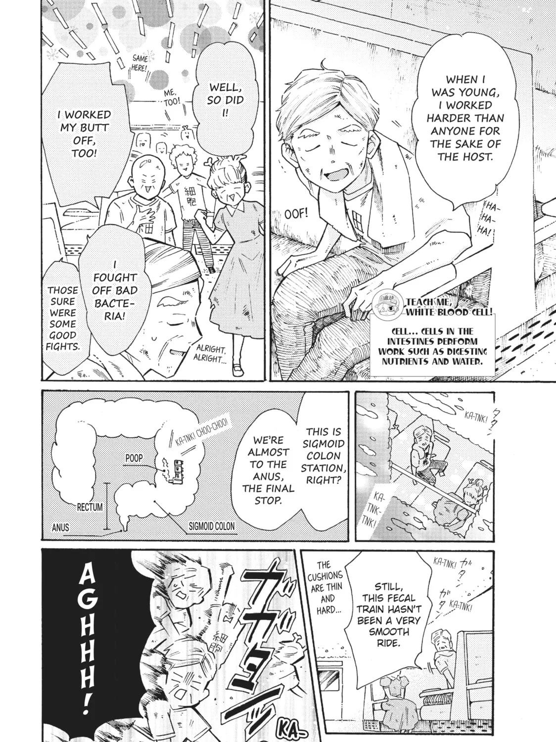 Read Cells at Work: Bacteria! chapter 38 image 2 on Lezhin