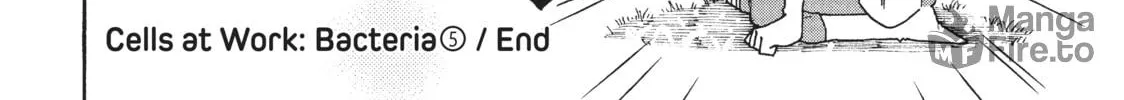 Read Cells at Work: Bacteria! chapter 42 image 23 on Lezhin