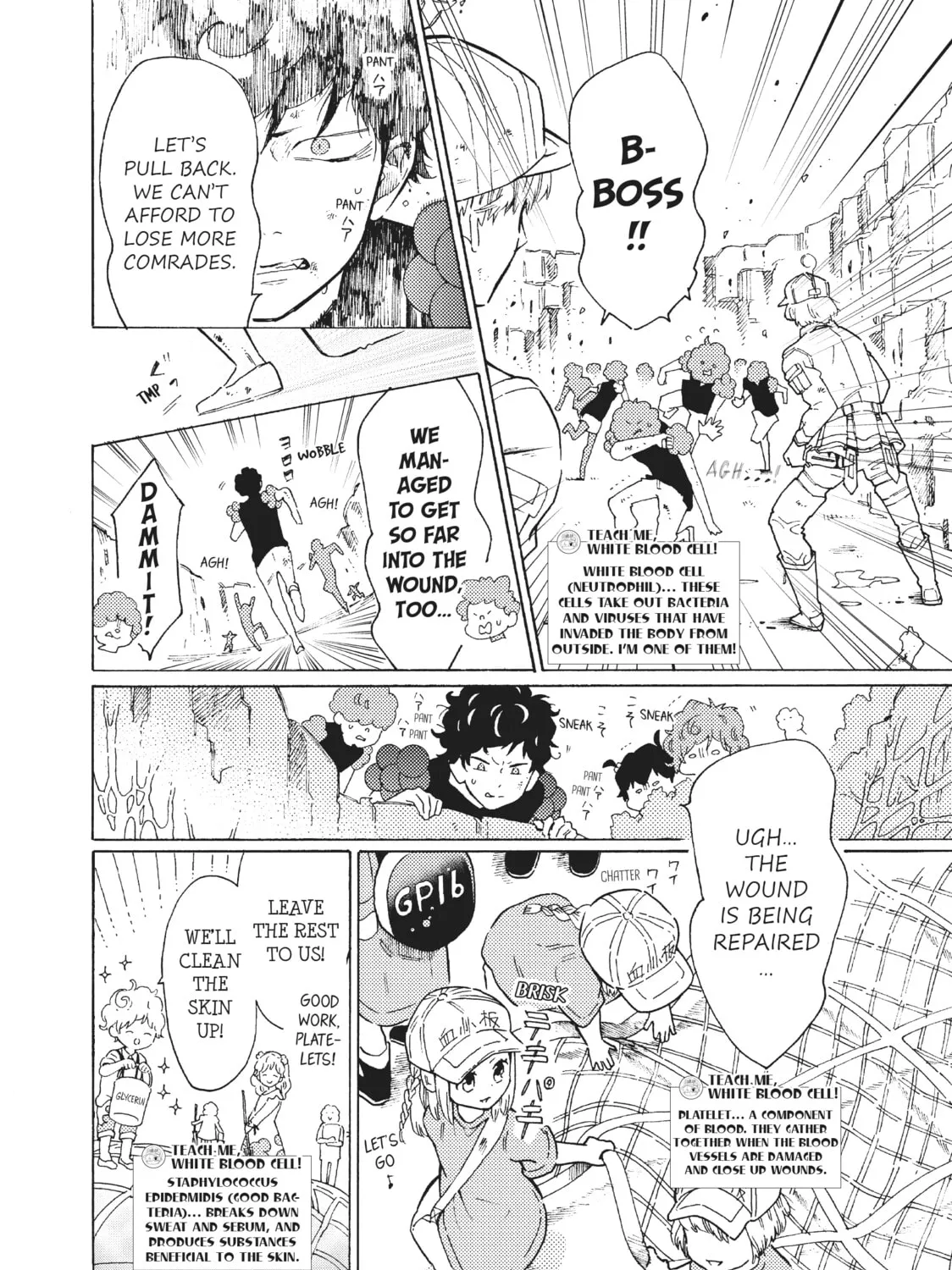 Read Cells at Work: Bacteria! chapter 56 image 6 on Lezhin