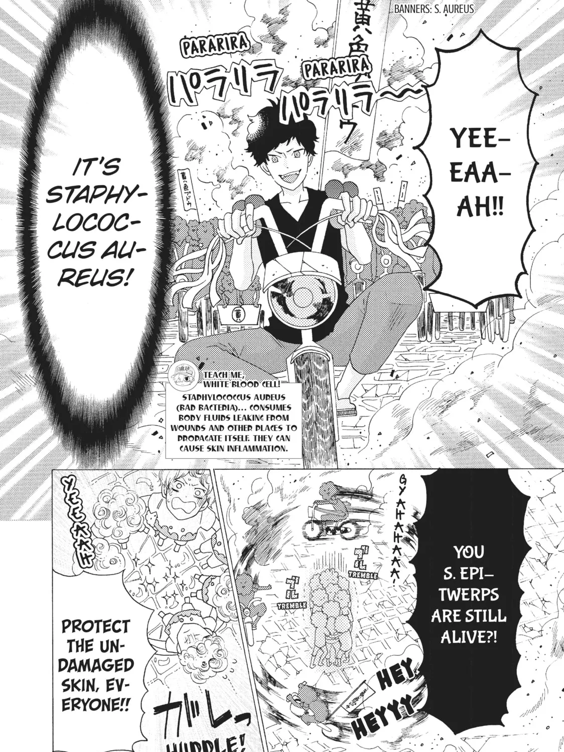 Read Cells at Work: Bacteria! chapter 8 image 6 on Lezhin