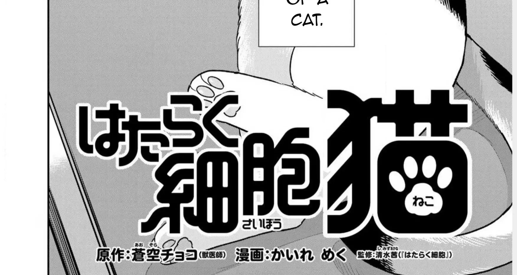 Read Cells at Work! Cat chapter 1 image 11 on Lezhin