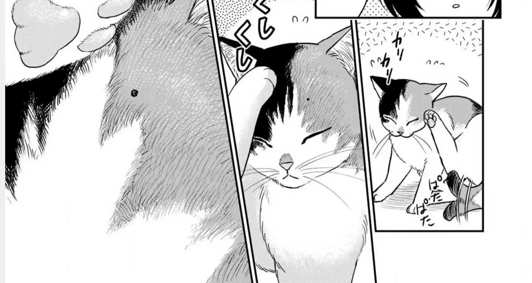 Read Cells at Work! Cat chapter 1 image 17 on Lezhin