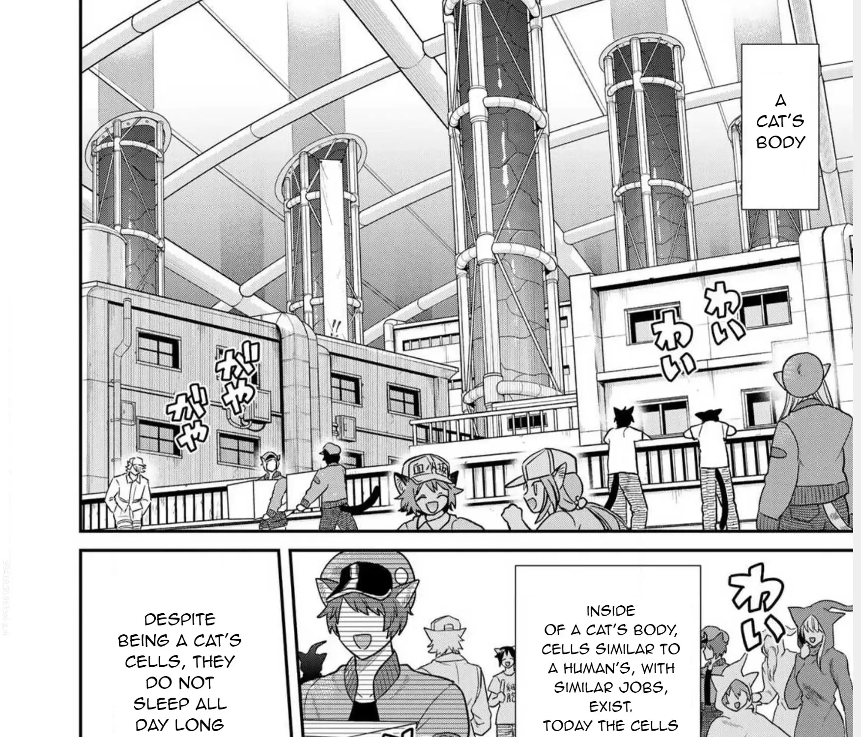 Read Cells at Work! Cat chapter 1 image 18 on Lezhin