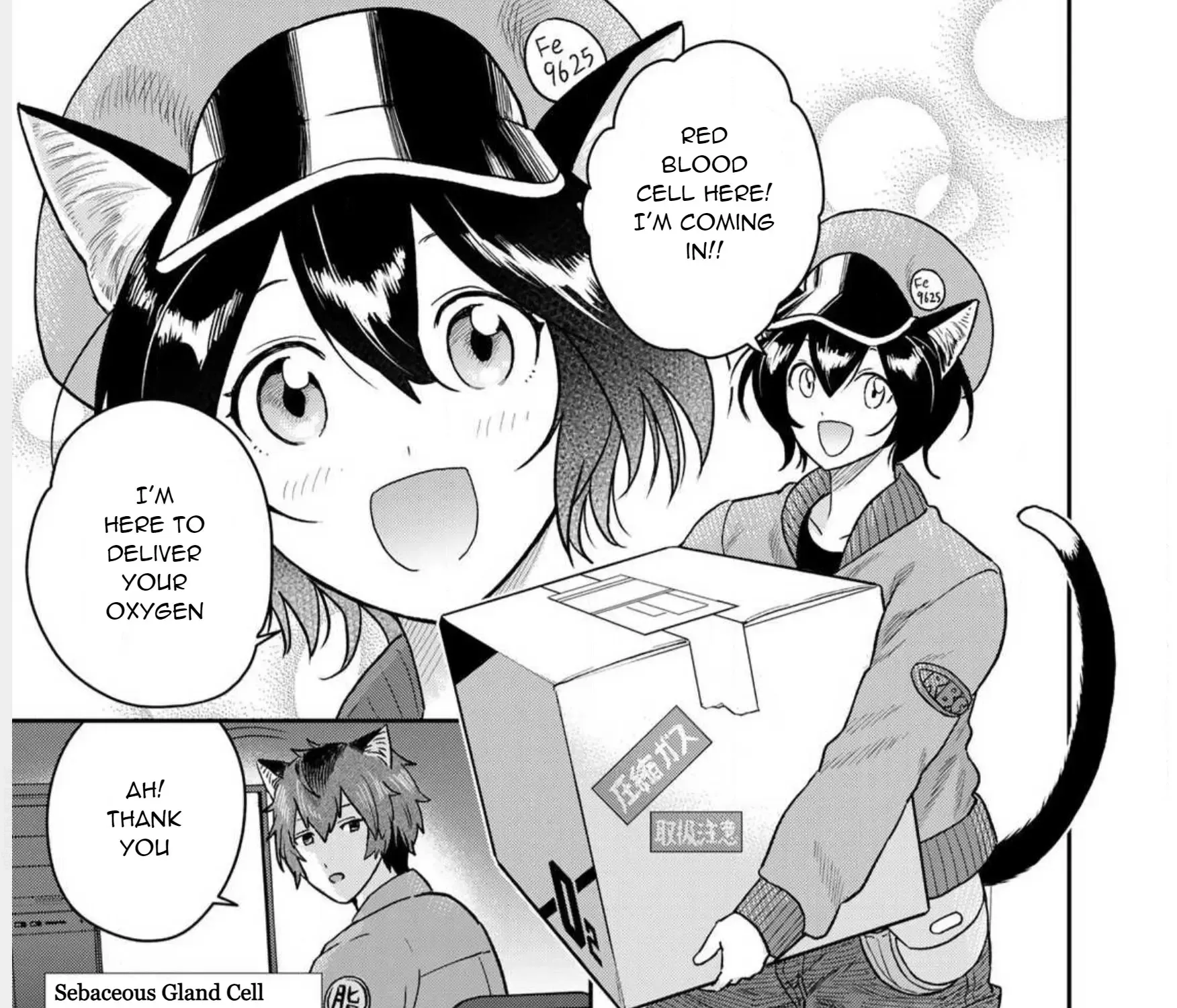 Read Cells at Work! Cat chapter 1 image 20 on Lezhin