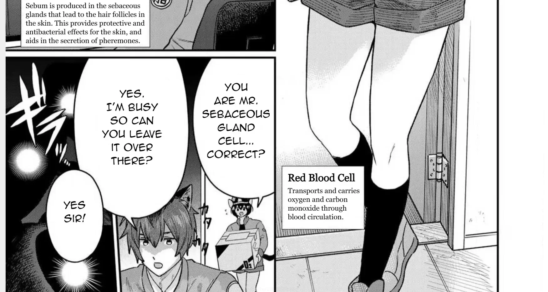 Read Cells at Work! Cat chapter 1 image 21 on Lezhin
