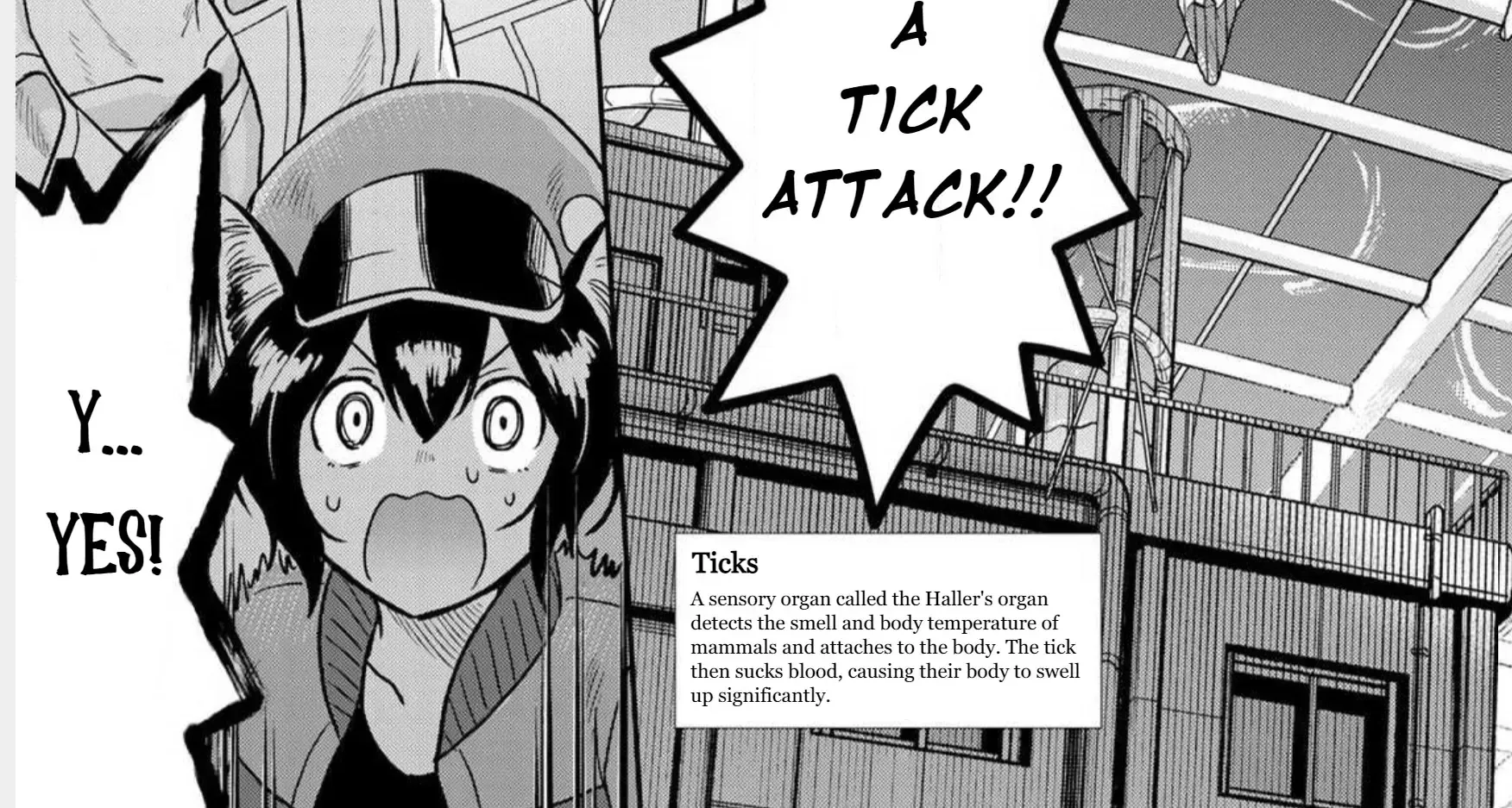 Read Cells at Work! Cat chapter 1 image 45 on Lezhin