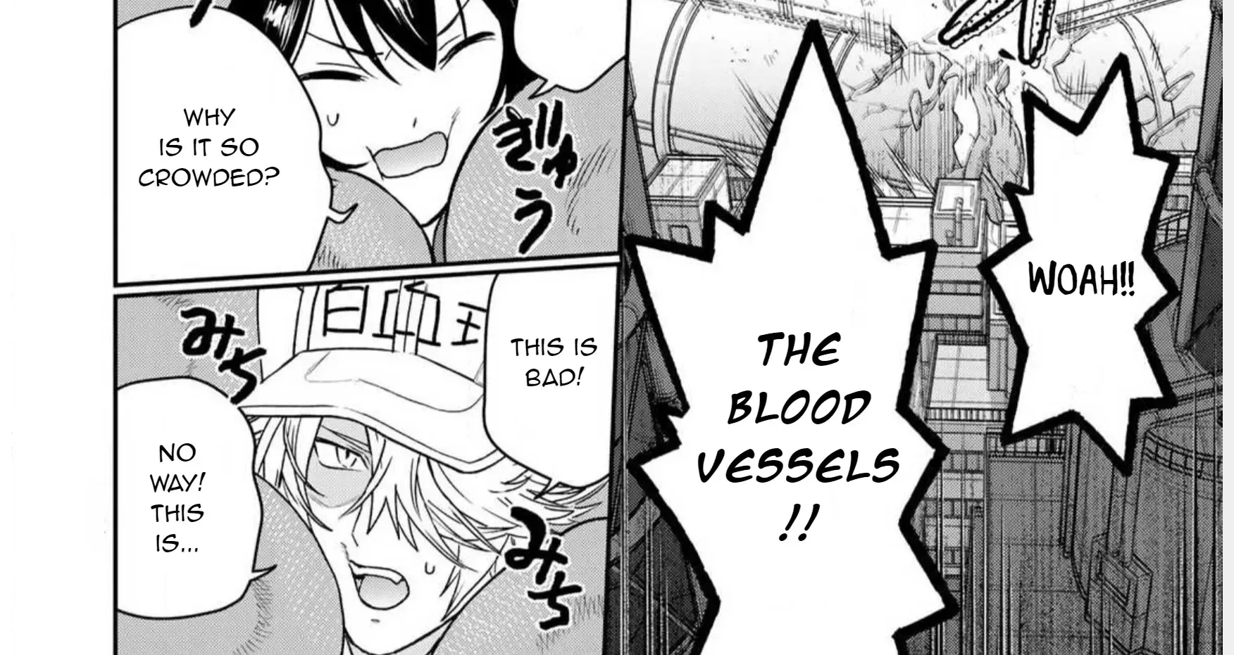 Read Cells at Work! Cat chapter 1 image 47 on Lezhin