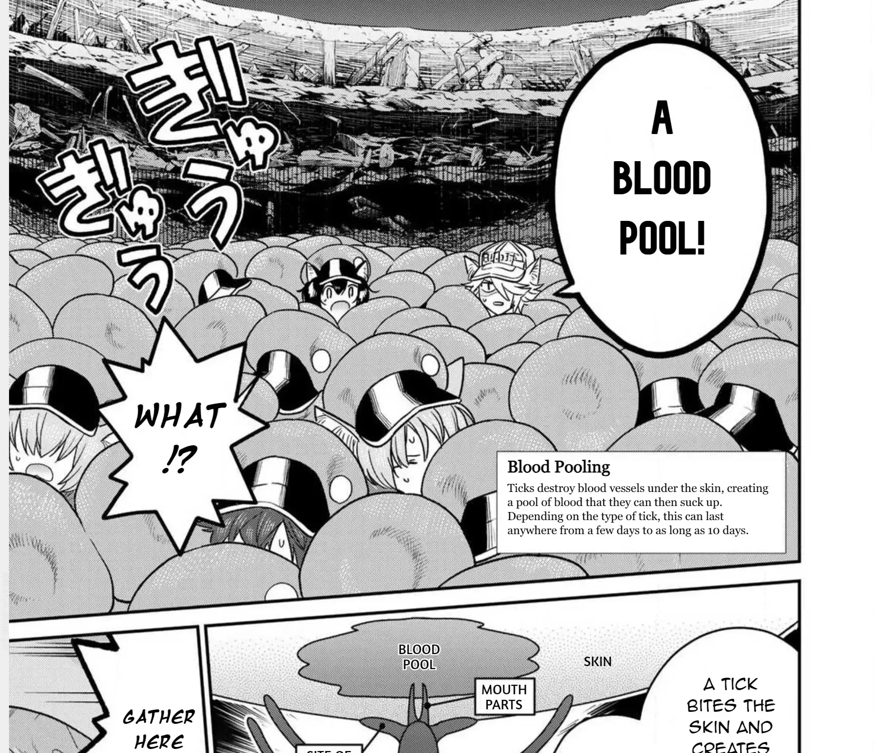 Read Cells at Work! Cat chapter 1 image 48 on Lezhin