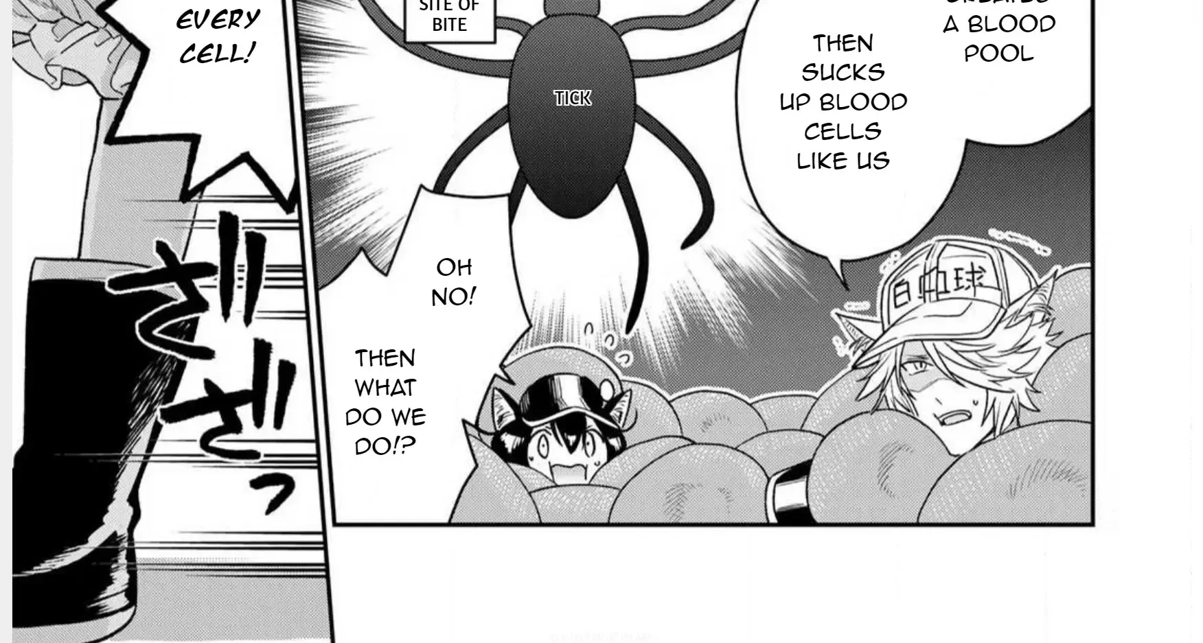 Read Cells at Work! Cat chapter 1 image 49 on Lezhin