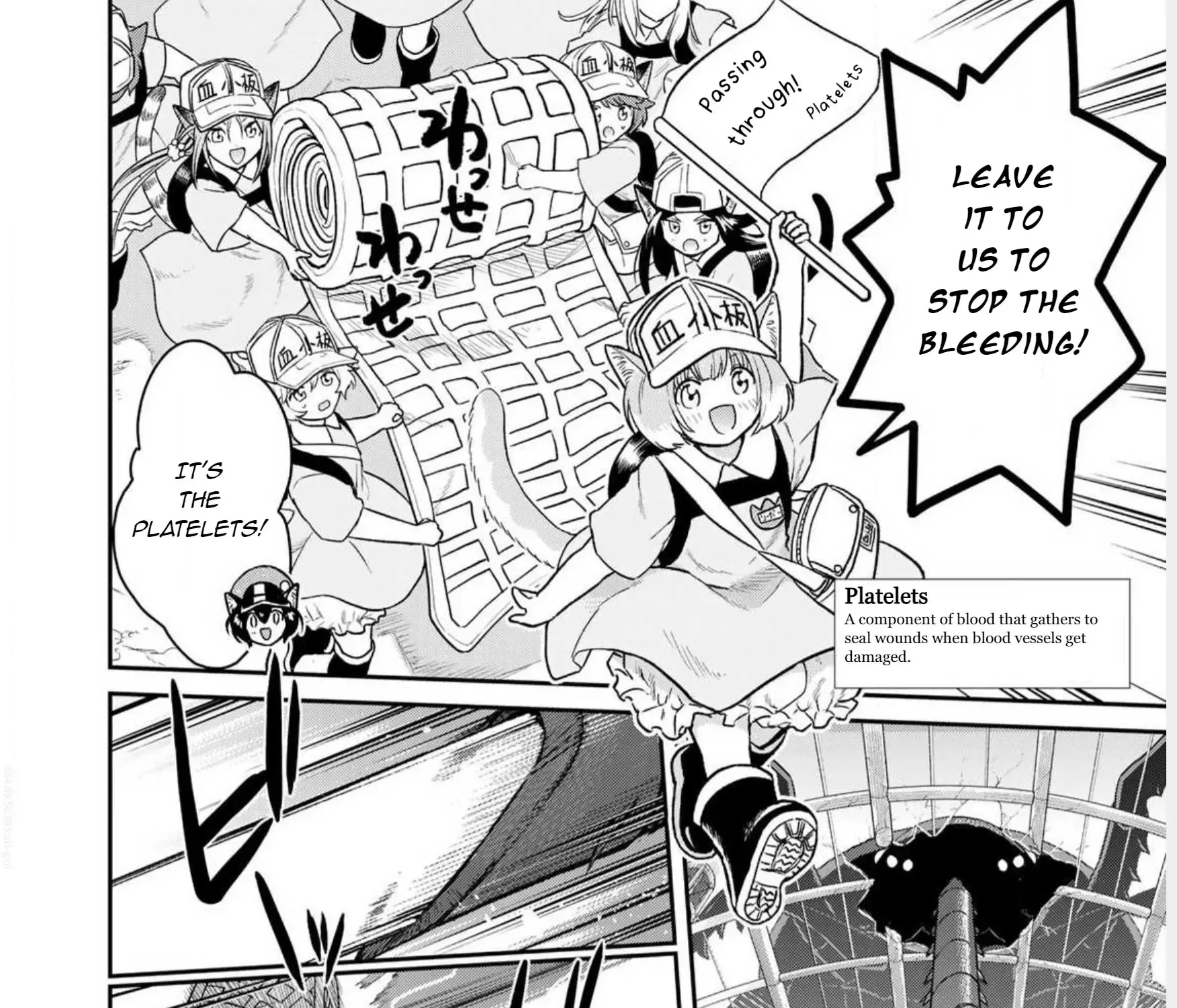 Read Cells at Work! Cat chapter 1 image 50 on Lezhin