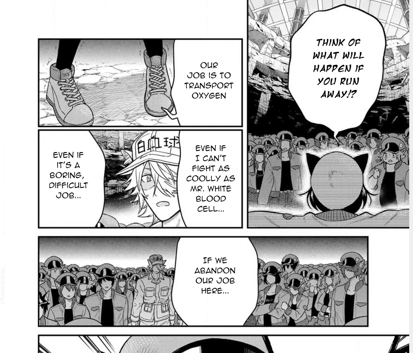 Read Cells at Work! Cat chapter 1 image 58 on Lezhin