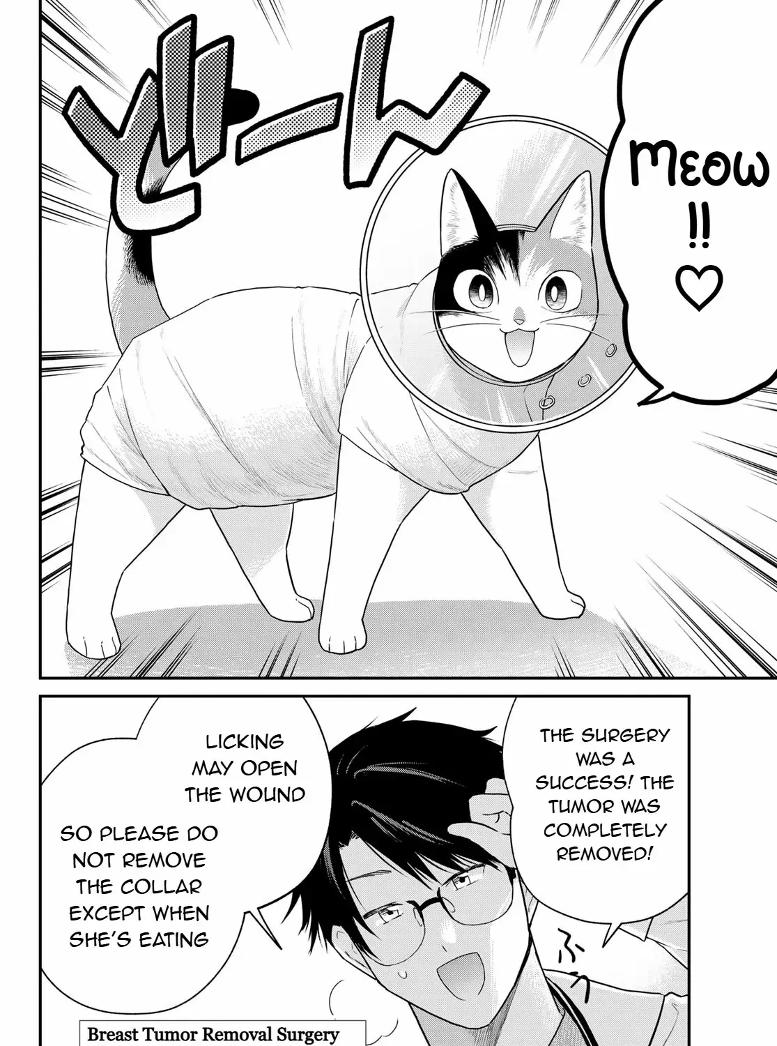 Read Cells at Work! Cat chapter 10 image 46 on Lezhin