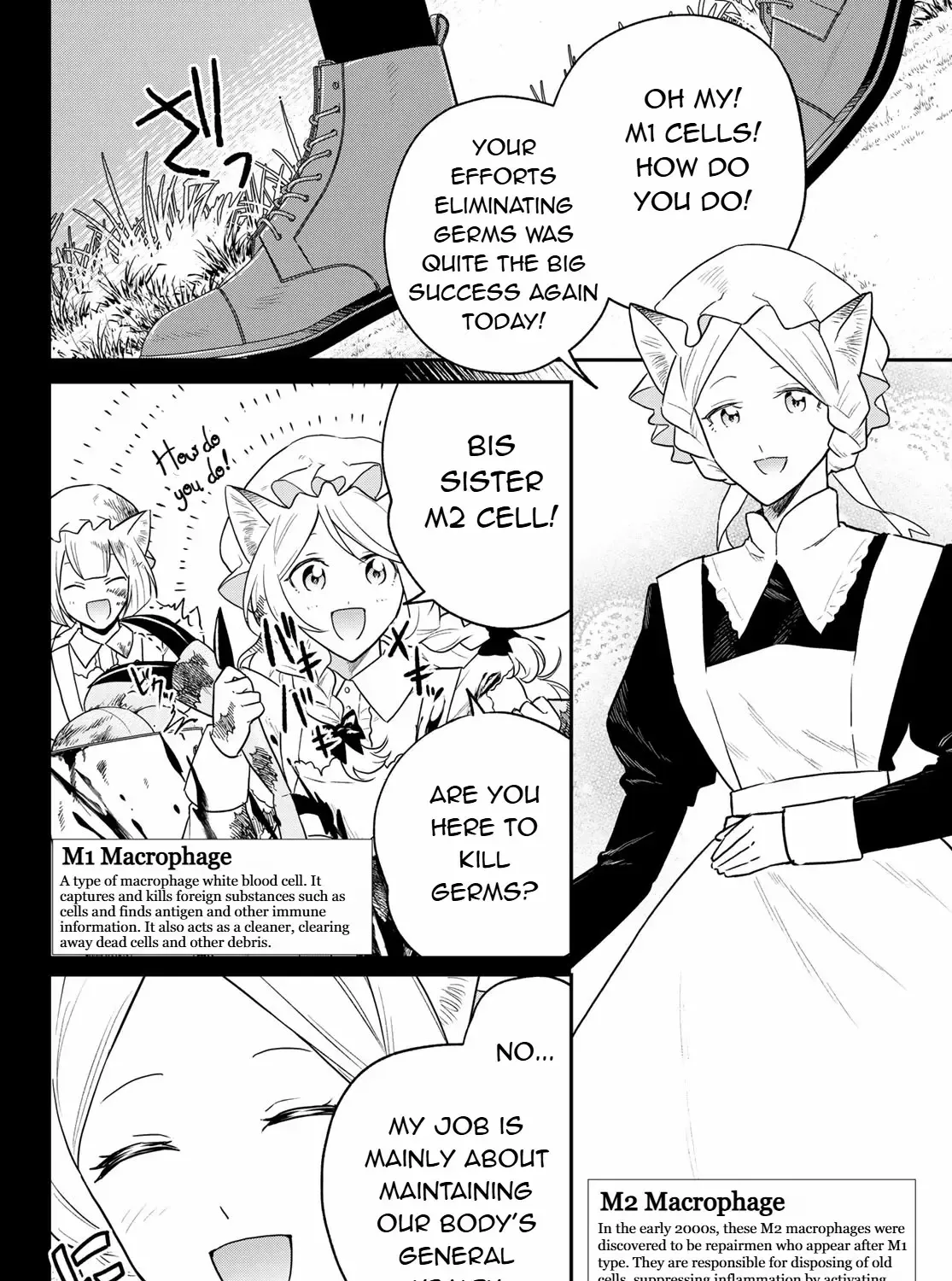 Read Cells at Work! Cat chapter 10 image 6 on Lezhin
