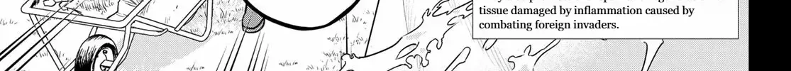 Read Cells at Work! Cat chapter 10 image 9 on Lezhin