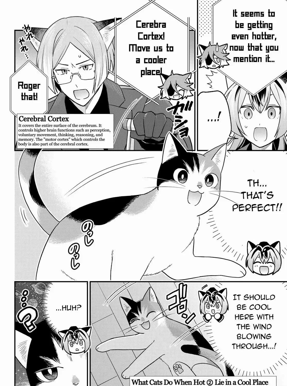 Read Cells at Work! Cat chapter 11 image 18 on Lezhin