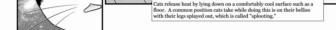 Read Cells at Work! Cat chapter 11 image 19 on Lezhin