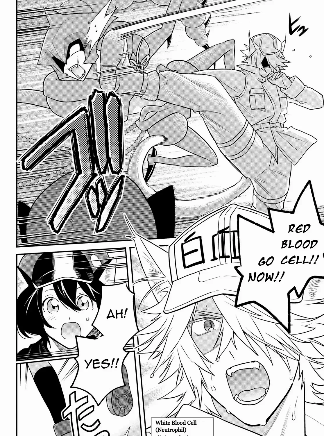 Read Cells at Work! Cat chapter 11 image 46 on Lezhin