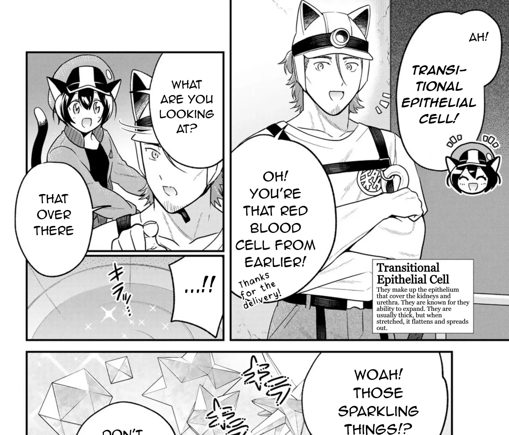 Read Cells at Work! Cat chapter 12 image 11 on Lezhin