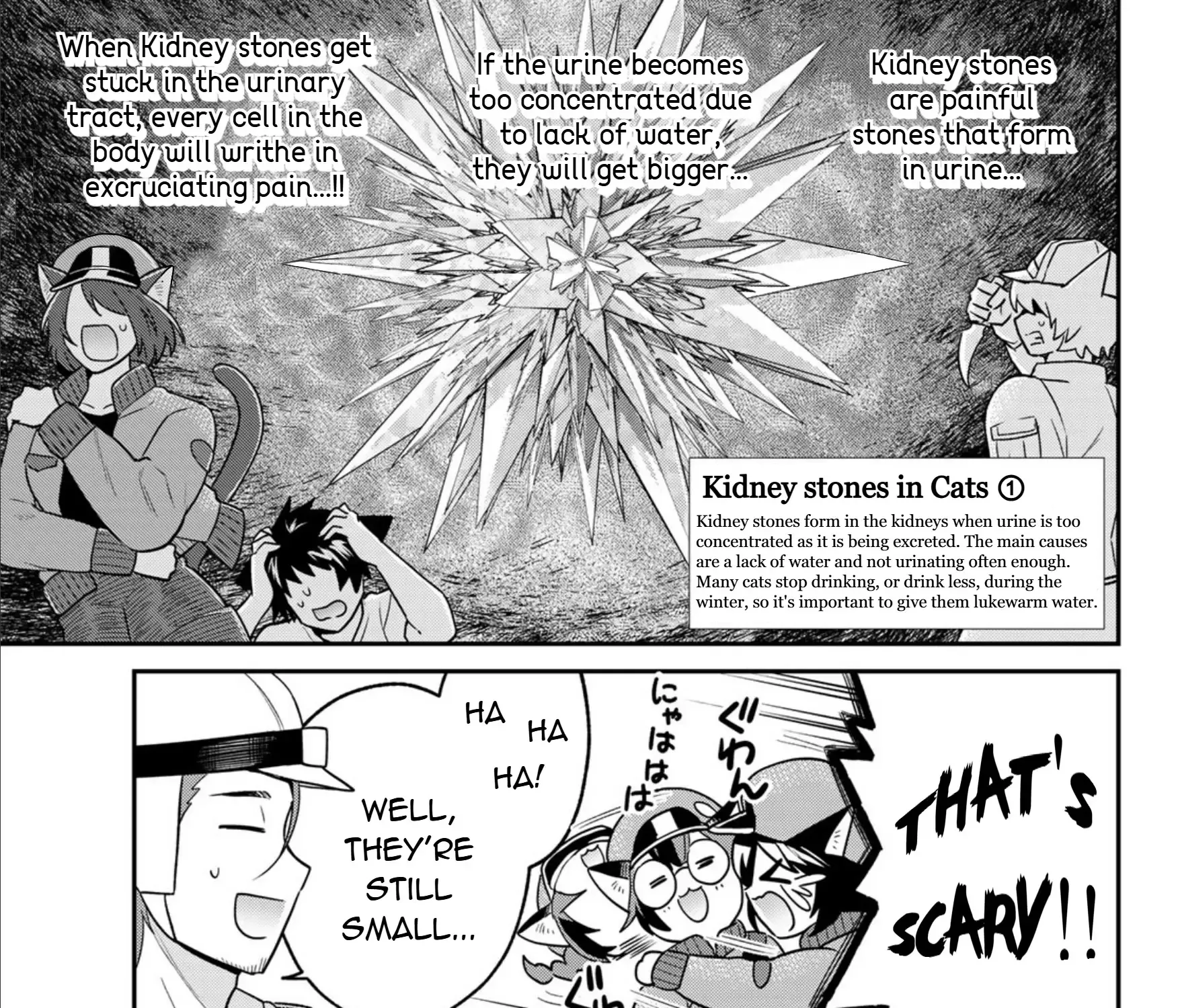 Read Cells at Work! Cat chapter 12 image 13 on Lezhin