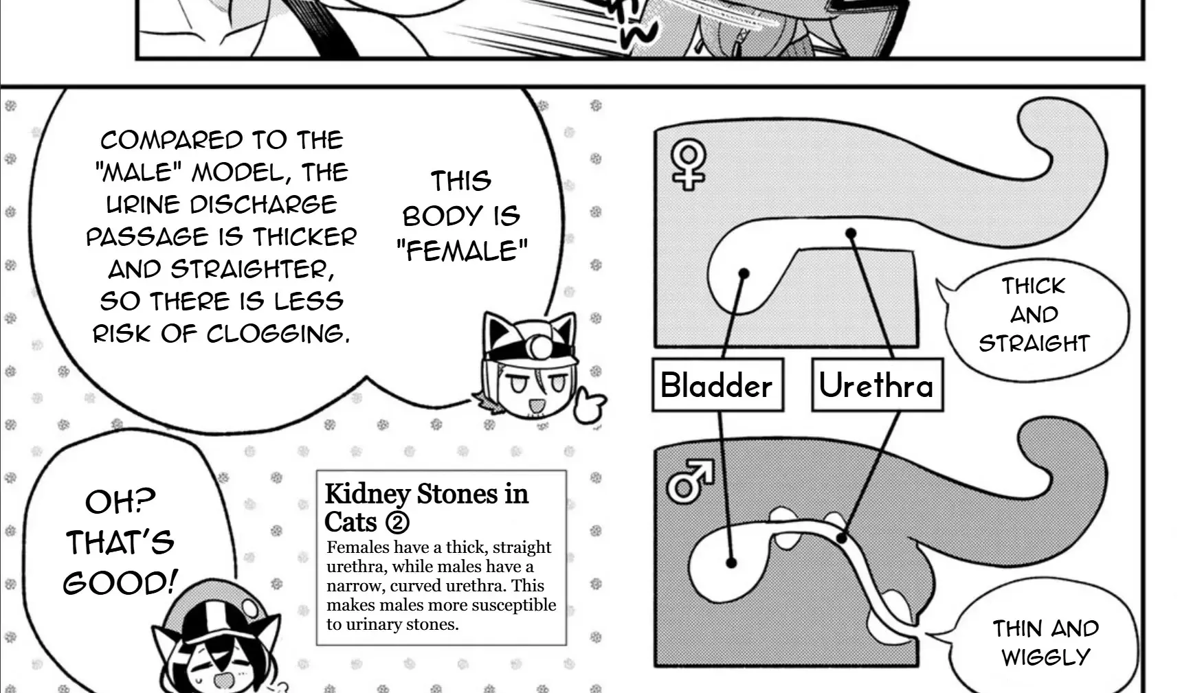 Read Cells at Work! Cat chapter 12 image 14 on Lezhin