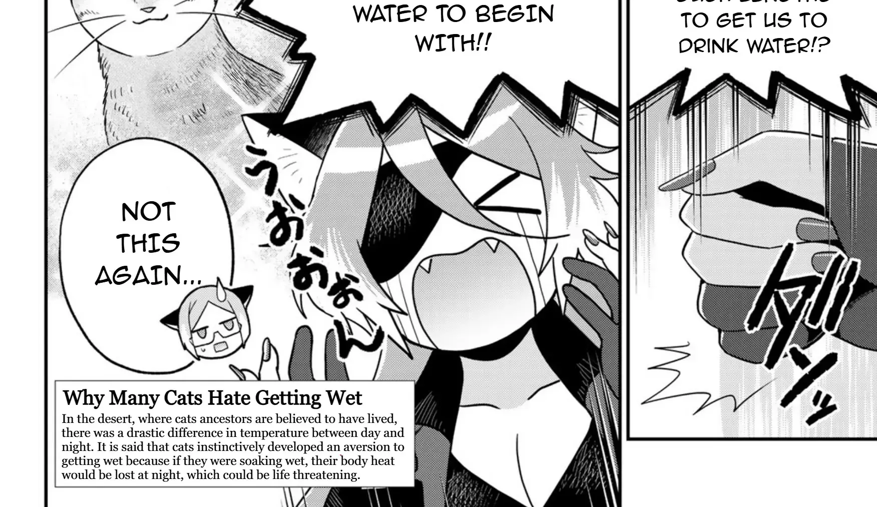 Read Cells at Work! Cat chapter 12 image 36 on Lezhin