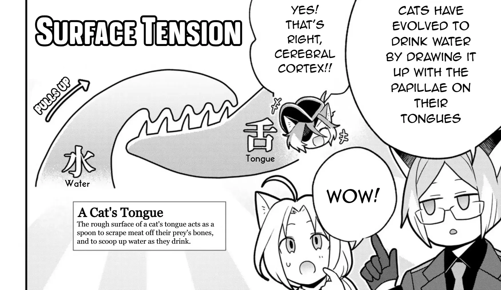 Read Cells at Work! Cat chapter 12 image 48 on Lezhin