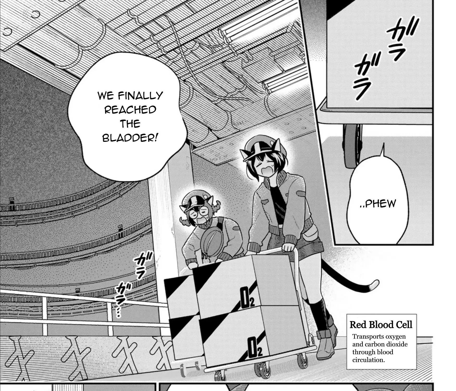 Read Cells at Work! Cat chapter 12 image 9 on Lezhin