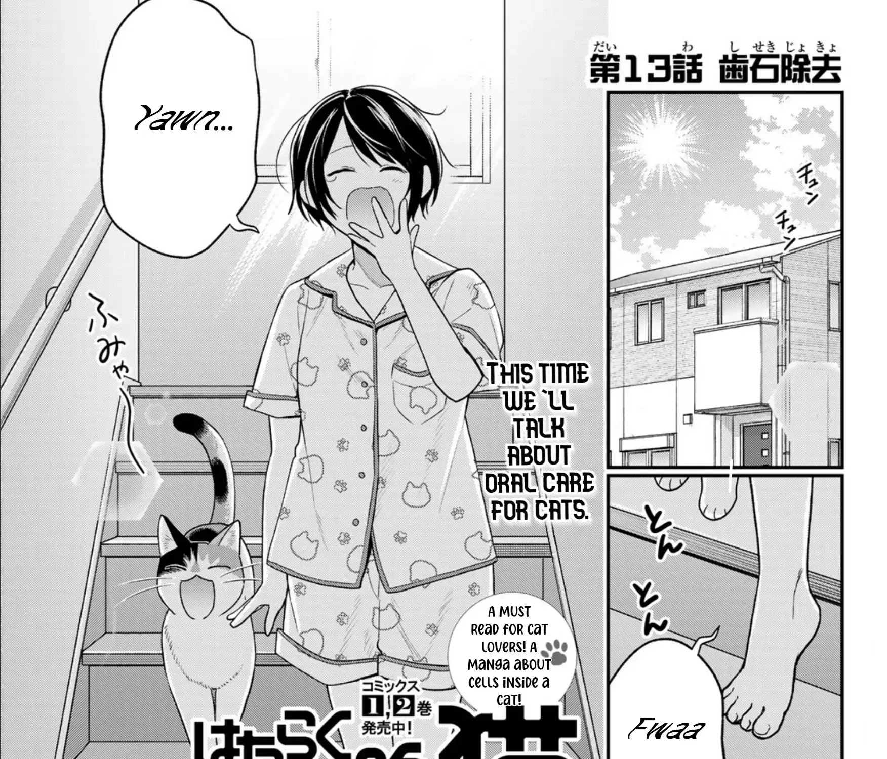 Read Cells at Work! Cat chapter 13 image 1 on Lezhin