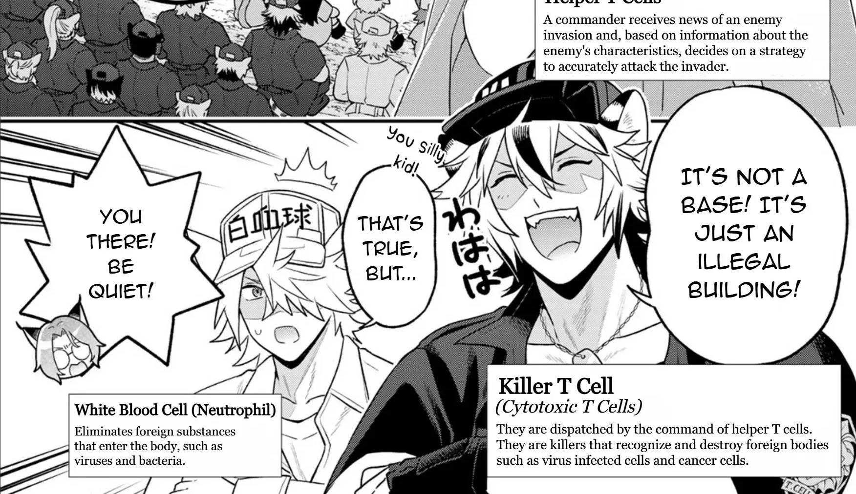 Read Cells at Work! Cat chapter 13 image 14 on Lezhin