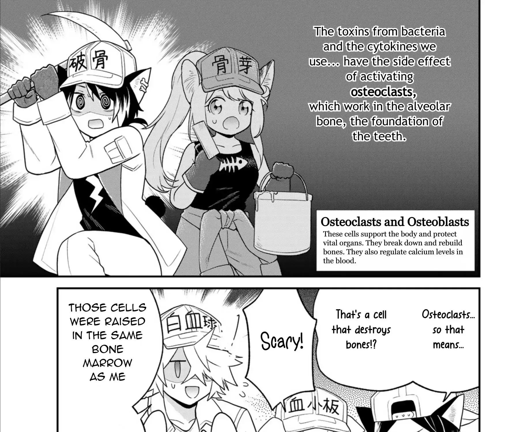 Read Cells at Work! Cat chapter 13 image 17 on Lezhin