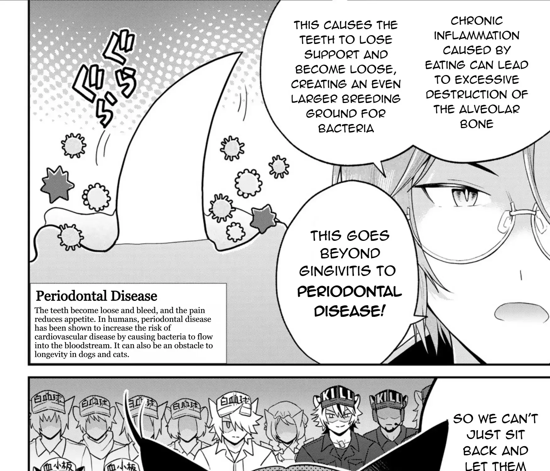 Read Cells at Work! Cat chapter 13 image 19 on Lezhin