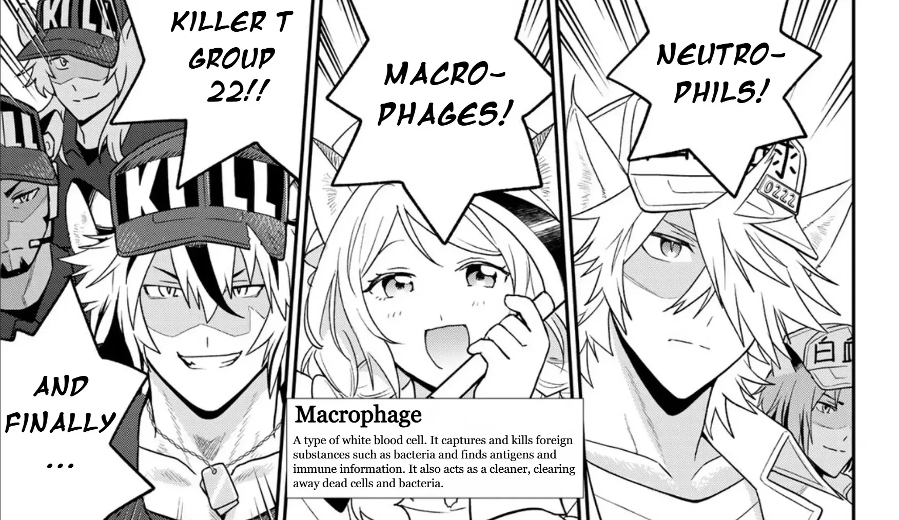 Read Cells at Work! Cat chapter 13 image 22 on Lezhin