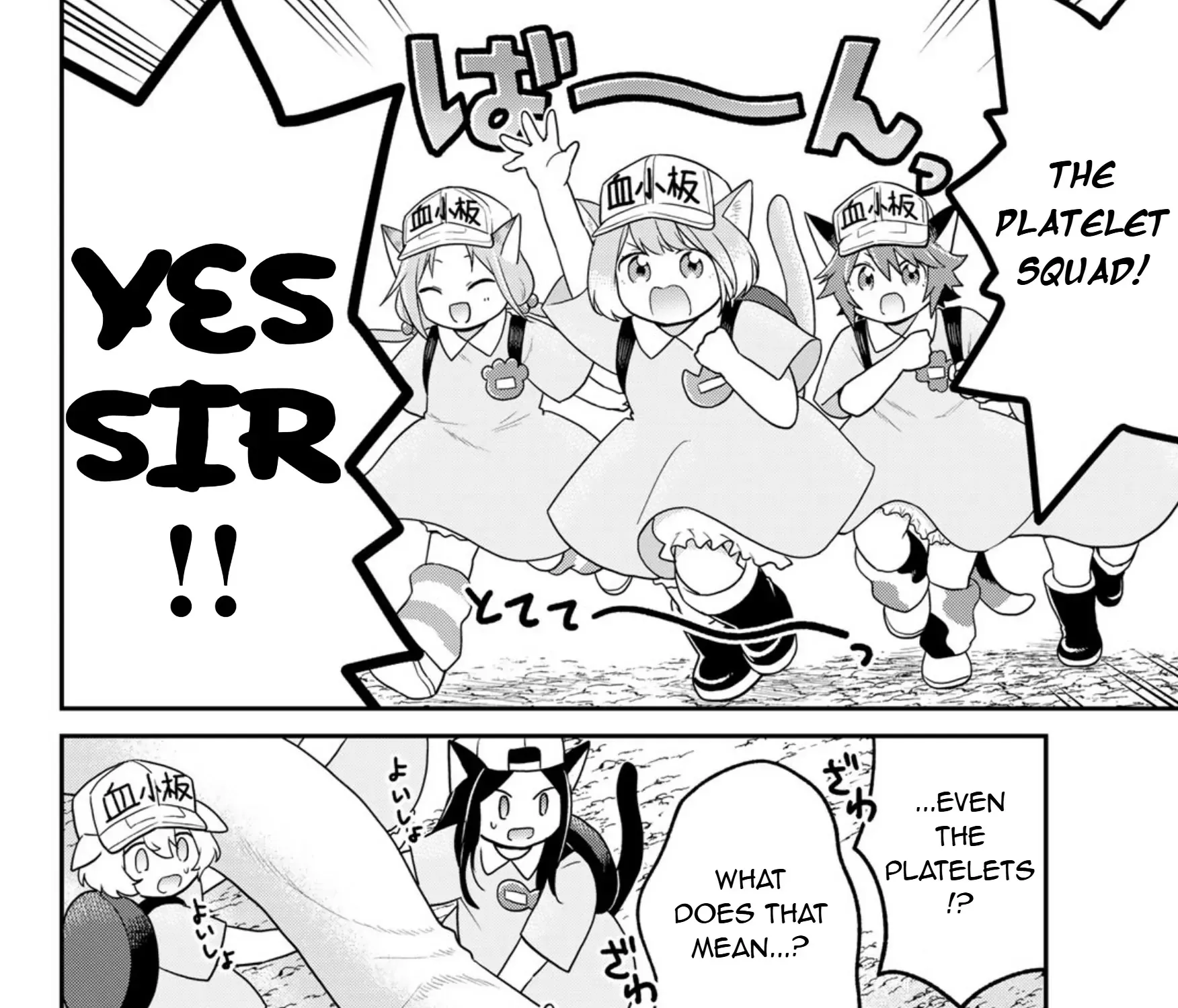 Read Cells at Work! Cat chapter 13 image 23 on Lezhin